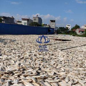 ปลาหมึกสำหรับอุตสาหกรรมสัตว์เลี้ยง - Product Image 1