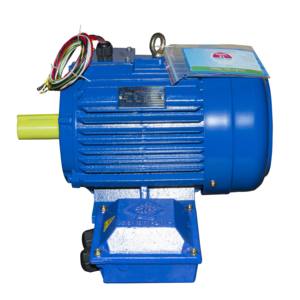 Motor eléctrico de CA trifásico IP55 a prueba de goteo 380V-50hz-60hz Motor asíncrono con carcasa de hierro fundido núcleo de cobre - Product Image 4