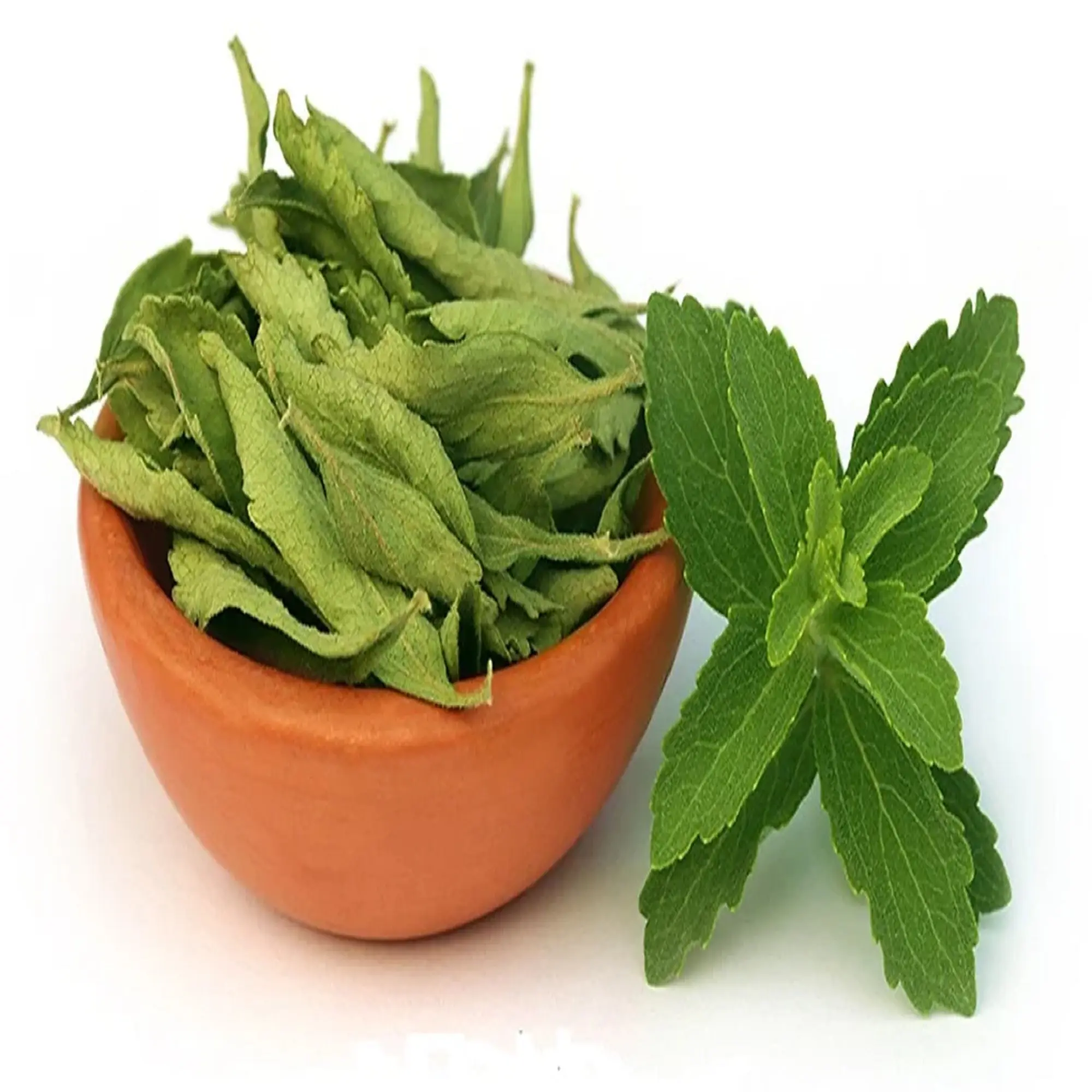 Gran cantidad al por mayor de té de hierbas secas Stevia Rebaudiana hoja hierba china para la venta por exportador indio con etiquetado privado