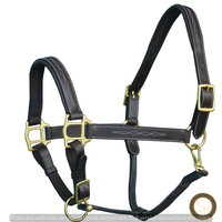 Bandeau de cheval en cuir véritable Style selle anglaise Finition cousue SS Fittings Brass Nickel Hardware Padded Noseband Headpiece
