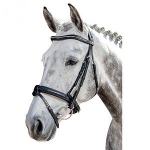 BRIDE EN CUIR DE CHEVAL ÉQUESTRE FABRICANT OEM ODM AVEC SANGLE DE MENTON SOFTY REMBOURRÉE ENTIÈREMENT COULEUR DE LA HAVANE COULEUR FANTAISIE COUTURE BLANCHE - Product Image 2