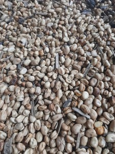 Mélange mouton et agneau - Product Image 2