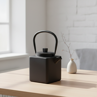 Offre Spéciale 3009441-0.8 Théière en fonte émaillée 800 ml avec couvercle en acier inoxydable Passoire en maille avec poignée en fonte, style japonais, revêtement émaillé en fer