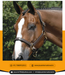 Équipement pour chevaux en cuir véritable Durable Confortable Horse Halter Premium Track Style Show Halter folding - Product Image 3