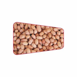 High Grade Non-GMO Organic Dried <b>Peanuts</b> Natural Groundnut Bulk Product Good Quality Raw Organic Ground <b>Peanuts</b> - Product Image 1