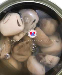 CHAMPIGNONS DE PAILLE EN CONSERVE POUR LE SOUTIEN DE LA SANTÉ INGRÉDIENTS VÉGAINS PURS ÉTIQUETTE PROPRE ALIMENTS ENTIERS À BASE DE PLANTES - Product Image 4