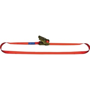 Correa de Amarre LC U 700 DaN DOLEZYCH para Esquís, Fijaciones y Correas, 6 m de Longitud, 25 mm de Ancho, con Trinquete, Estándar DIN EN 12195-2 - Product Image 1