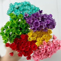 Mini marguerites séchées naturelles, fleurs étoilées brésiliennes, petites étoiles Glixia, préservées, carrées, faites à la main, pour mariage, décoration DIY en résine
