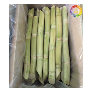 Nuevo Cultivo de jugo de caña de azúcar congelado BQF IQF palo de caña de azúcar congelado 10 kg/bolsa/caja de cartón embalaje a granel palo de caña de azúcar zumos de frutas - Product Image 6