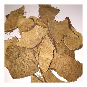 Coquille de noix de coco brute standard pour bols, accessoires de maison, charbon de bois biologique, articles artistiques et décoration de jardin - Product Image 1