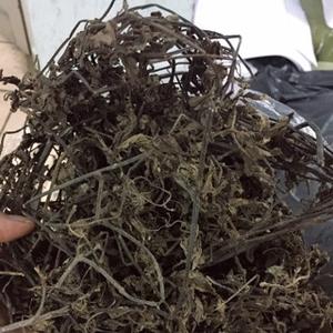 Jalea de hierba seca de alta calidad Auténtico sabor vietnamita por 99 Gold Data - Product Image 4