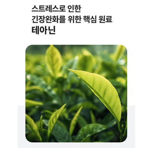 K-Healthy Théanine 600mg 30 Comprimés pour Adultes - Soulagement du Stress - Product Image 4