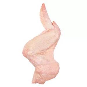 Ailes articulées de poulet certifié de qualité supérieure/ailes articulées mi-molletonnées pour vente depuis le brésil - Product Image 2