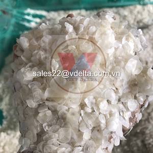 เกล็ดปลาจากเวียดนาม Mr. Kevin + 84 968311314 - Product Image 1