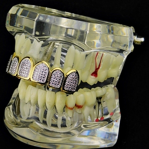 Souper élégant Hip Hop mode diamant Grillz sur mesure pour hommes et femmes bijoux au meilleur prix de l'Inde - Product Image 6