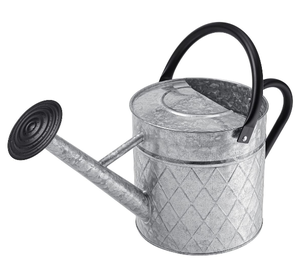 Canette d'eau en métal de qualité supérieure décorative galvanisée canette d'eau couleur personnalisée faite à la main indienne élégante meilleure canette d'eau - Product Image 1