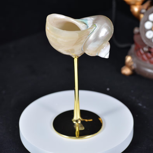 Copas de Cóctel con Forma de Concha Marina - Product Image 4