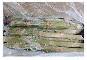 2023แช่แข็งจากเวียดนามผลิตภัณฑ์ทางการเกษตร99GD ขายส่ง - Product Image 2