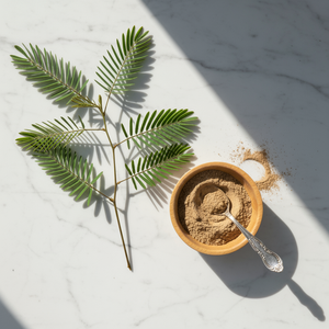 Premium doğal Mimosa kök kabuğu ekstresi tozu 10:1 20:1 oranı gıda sınıfı bitkisel ek hammadde - Product Image 1