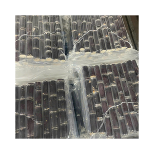 Palitos de caña de azúcar pelados congelados, sin conservantes, solo caña pura, ideal para bebidas refrescantes de verano y mercados de exportación - Product Image 2