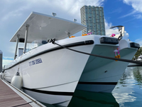 UBI 818 Catamaran en aluminium personnalisé, taxi fluvial de luxe, ferry pour la pêche, croisière fluviale, yacht 8,3 m, 14 passagers