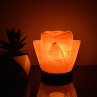Lampe de sel rose de l'Himalaya en forme de fleur, veilleuse en cristal naturel pour la décoration intérieure, lampe en sel rocheux artisanale, vente en gros