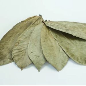 Hojas secas de Guanábana VIETNAM - Product Image 3