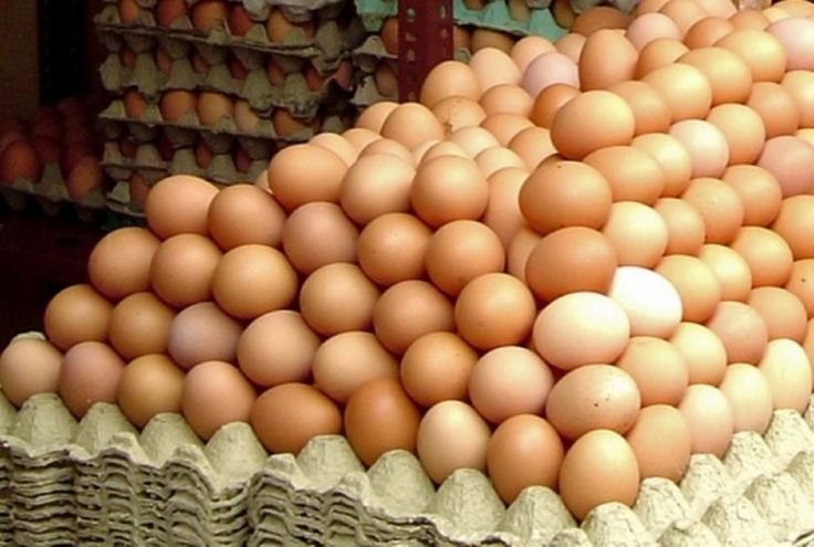 Fresh High-quality Quail Table Eggs Bulk Wholesale White Yolk Fertile High Protein 100% Pure Natural Packed Cartons Trays for| Alibaba.com