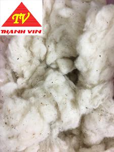 Fibra de algodón reciclada como material de relleno con precio razonable para almohada de colchón _ Ms: Serena - Product Image 4