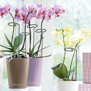 Venta al por mayor de enrejado de jardín de madera y hierro para interior/exterior de 16 pulgadas para plantas en maceta, suministros de jardín - Product Image 3