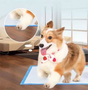China Supplier Cheap ODM/OEM High Absorption Disposable Pet Supplies Dog <b>Pee</b> Puppy Pet Training Disposable Urine <b>Pad</b> - Product Image 4