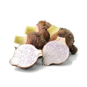 Taro congelé pelé en tranches ou en dés et congelé pour plus de facilité - Product Image 2