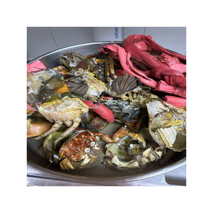 Frozen Crab Meat Steaks Fresh Mud Crab Food <b>Seafood</b> Snacks Item Box Packaging Food and Beverage Kind - Product Image 2