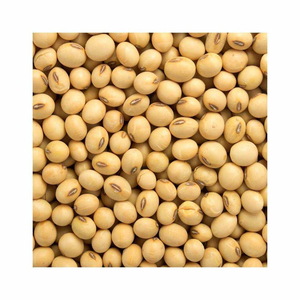 Bolsa a granel de 25kg para germinación y Calidad Alimentaria, semillas de soja amarillas secas, soja no Gmo - Product Image 1