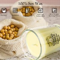 Paket Besar 20 Lilin Aromaterapi Vegan Buatan Tangan dari Lilin Kedelai 100% Organik dengan Aroma Kustom, Set Hadiah Mewah, Logo Kustom untuk Diwali