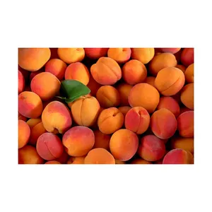 杏干食品甜味巴基斯坦最佳干燥和有机杂物杏子