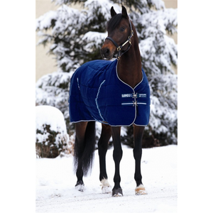 Neuankömmling Custom Horse Rugs mit wasserdichtem 100-prozentigem Polyester gewebe für den Winters chutz zu erschwing lichen Großhandels kosten - Product Image 6