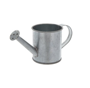 Vente chaude fer arrosoir de haute qualité sans rouille outils de décoration de jardin fournitures couleur gris naturel personnaliser Design logo - Product Image 2