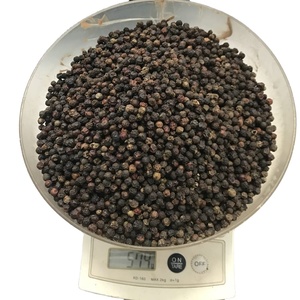 Pimienta negra de alta calidad de Vietnam, precio competitivo de Phalco JSC - Product Image 1