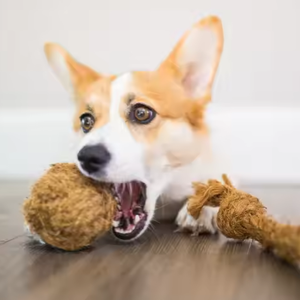 Pelota de Fibra de Coco para Mascotas, Juguete Interactivo Automático para Interiores, Pelota de Actividades para Morder y Entrenar, para Múltiples Mascotas - Product Image 1