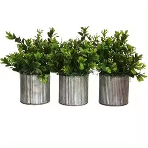 Maceta decorativa para jardín del hogar, macetas para plantas, maceta de Metal de gran tamaño, nuevo diseño, accesorio para interiores y exteriores - Product Image 4