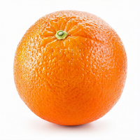 Oranges, Tangerines et Mandarines Fraîches à Prix Abordable en Vente |   Citrus de qualité supérieure à bas prix