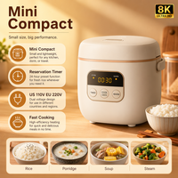 Nouvelle Mini-cuiseuse à riz domestique haut de gamme, programmable, cuisson rapide intelligente, norme américaine 110V, norme européenne 220V