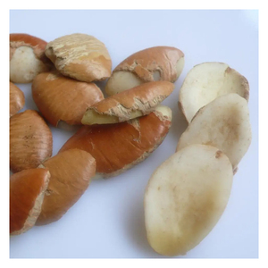 สารสกัดจากเมล็ดมะม่วง7% จากธรรมชาติโปรตีนแอลบูมินจากโรงงาน ISO - Product Image 5