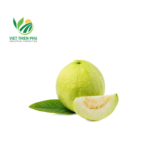 ฝรั่งแช่แข็งคุณภาพสูงผลไม้ธรรมชาติ100% จากเวียดนามสามารถส่งออกได้ในราคาที่ดีที่สุด - Product Image 5
