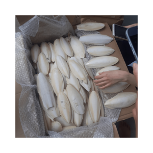 Os de seiche séché 100% naturel de haute qualité du Vietnam meilleure source de prix pour les suppléments de calcium - Product Image 6