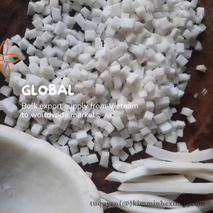 Viande de noix de coco naturelle IQF 100% naturelle en vrac et sous vide - Product Image 5