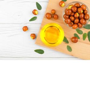 น้ำมันโจโจบาบริสุทธิ์ 100% บรรจุในกระป๋อง/ขวด/ถัง ในราคาประหยัด - Product Image 4