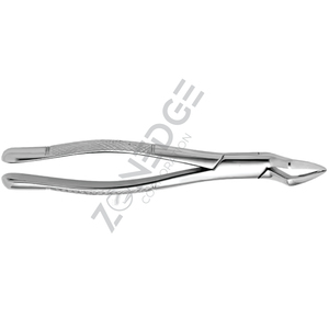 Forceps d'extraction dentaire Forceps de haute qualité Forceps d'extraction restant postérieur supérieur - Product Image 3