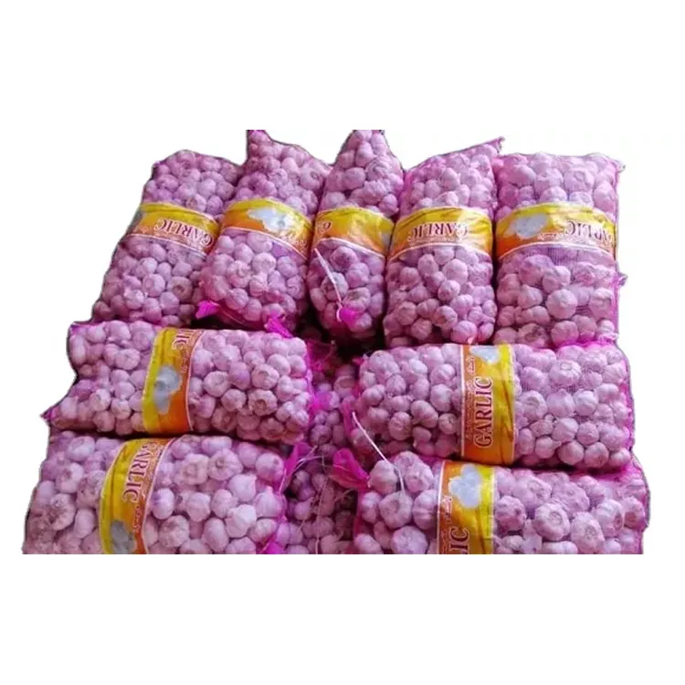 Professional in Selling 100% Fresh Normal White Garlic/ Whole Packed Garlic at Wholesale Price